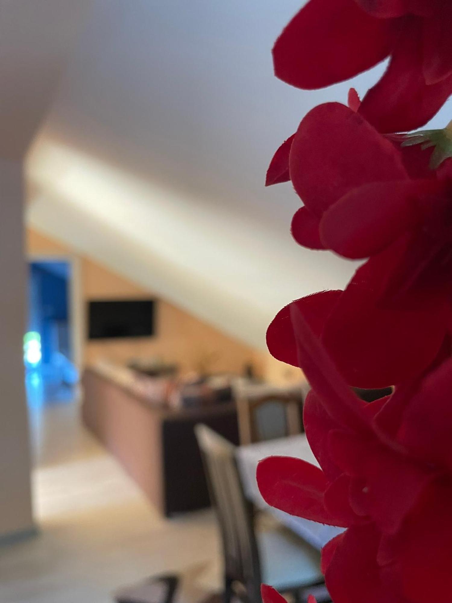 Apartments Simic カメナリ エクステリア 写真
